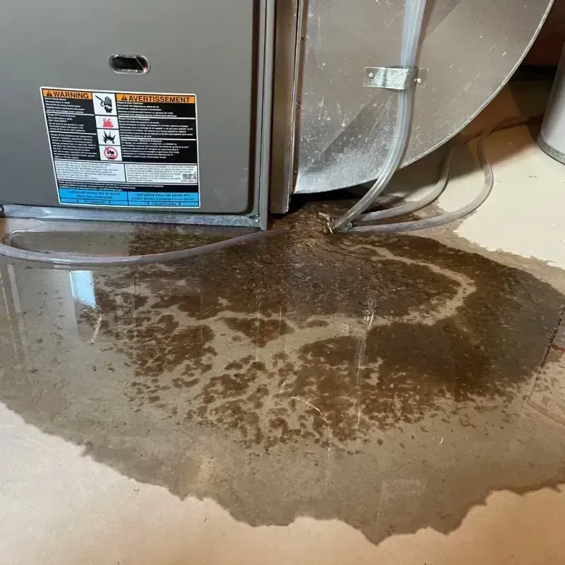 Appliance Leak Cleanup in Kewaskum, WI